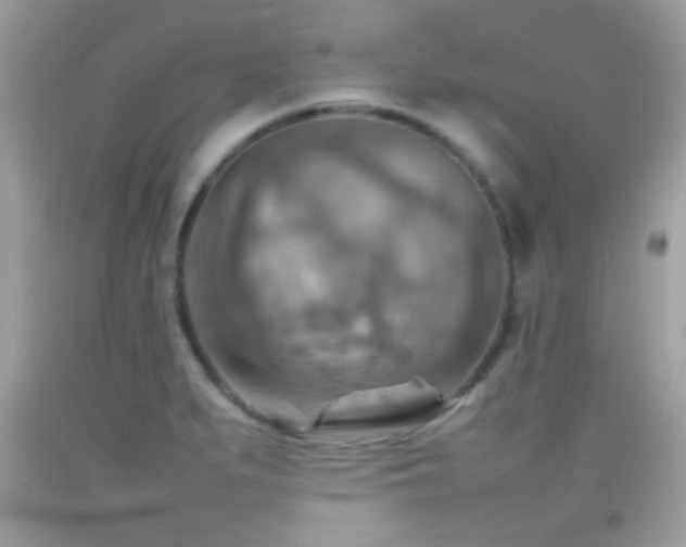 X0000092071279200709121408