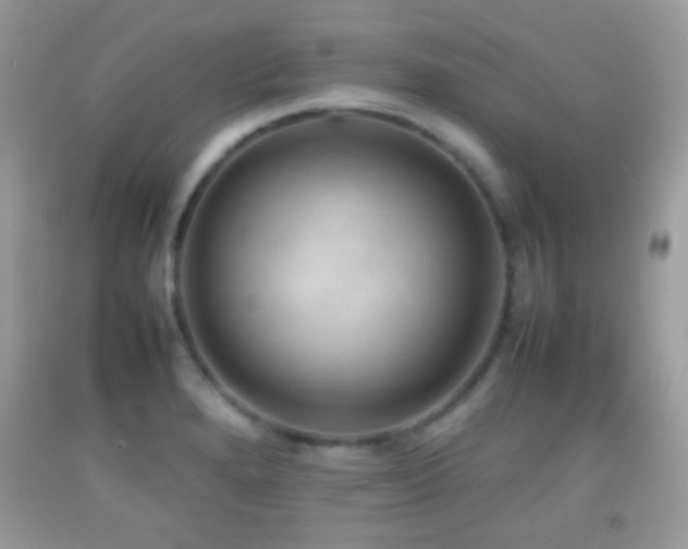 X0000092071280200709121408