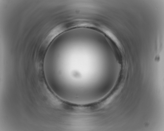 X0000092071281200709121408