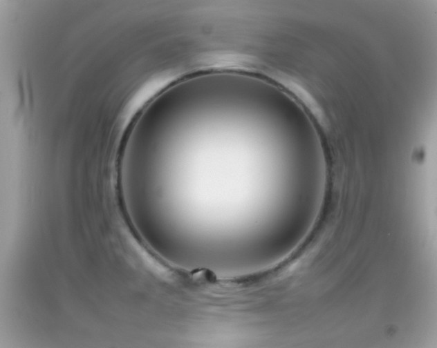 X0000092071285200709121408