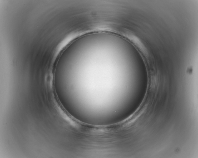 X0000092071286200709121408