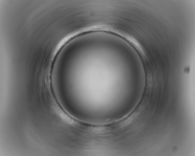 X0000092071288200709121408