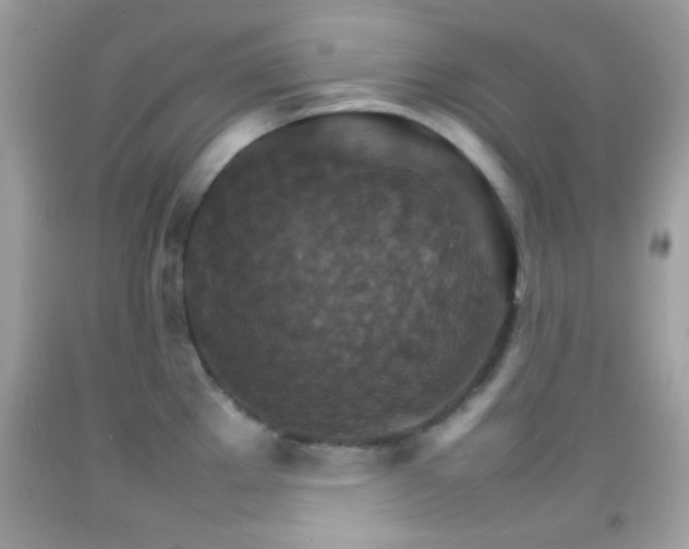 X0000092071289200709121408