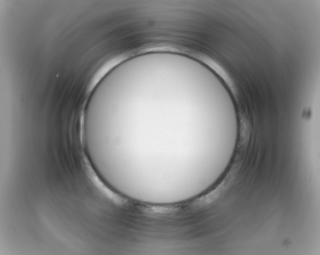 X0000092071290200709121408