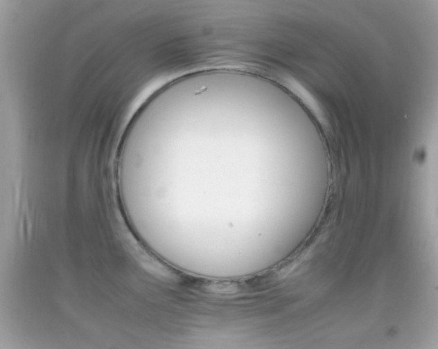 X0000092071291200709121408