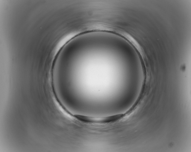 X0000092071293200709121408