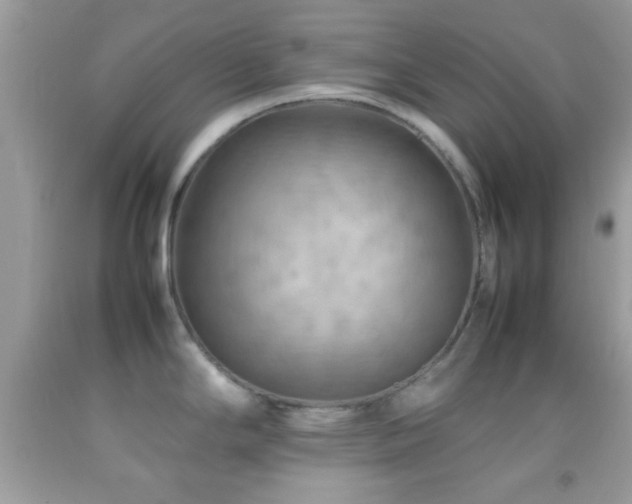X0000092071294200709121408
