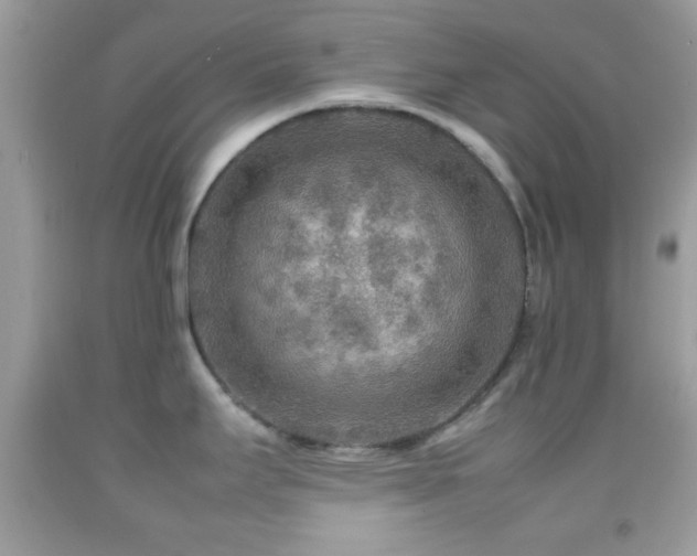 X0000092071295200709121408