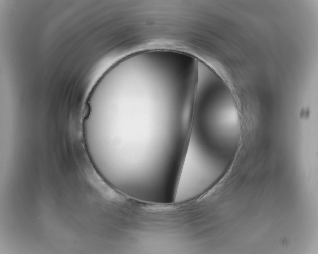X0000092071296200709121408