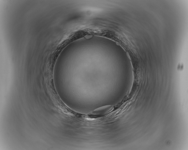 X0000092071297200709121407