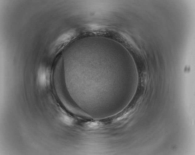 X0000092071298200709121407