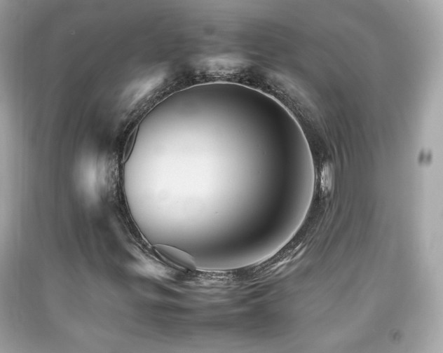 X0000092071299200709121407