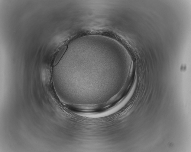 X0000092071300200709121408