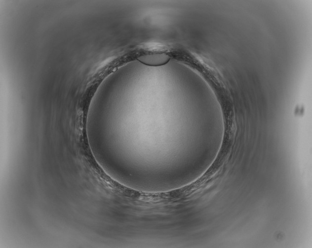 X0000092071301200709121408