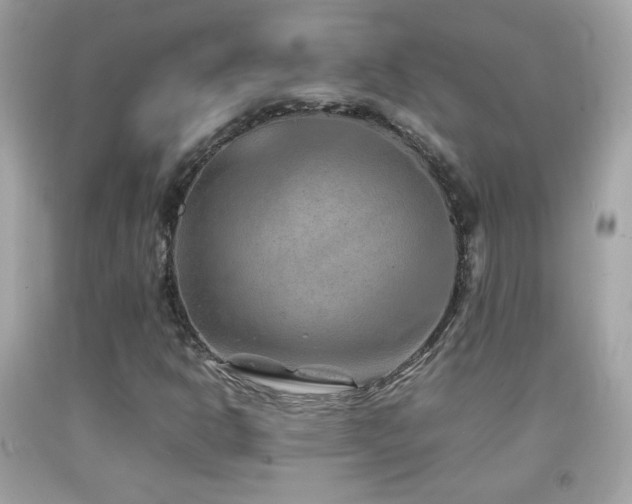 X0000092071302200709121408