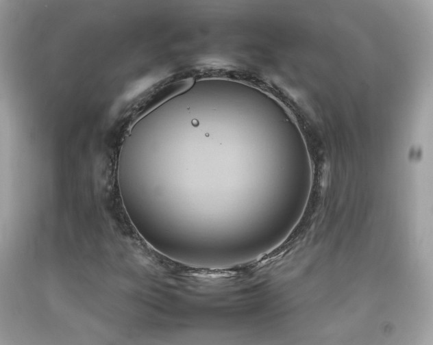 X0000092071303200709121408