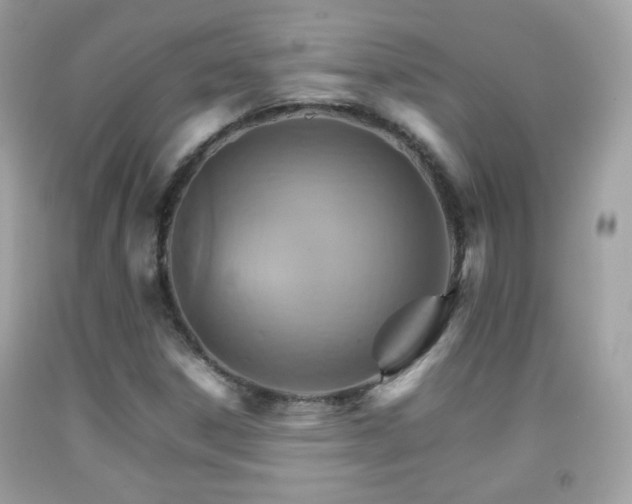 X0000092071306200709121408