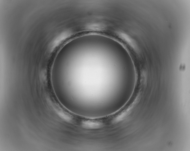 X0000092071307200709121408
