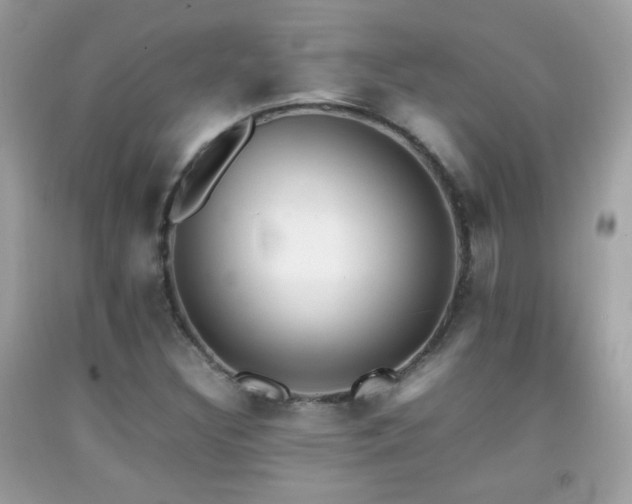 X0000092071308200709121408
