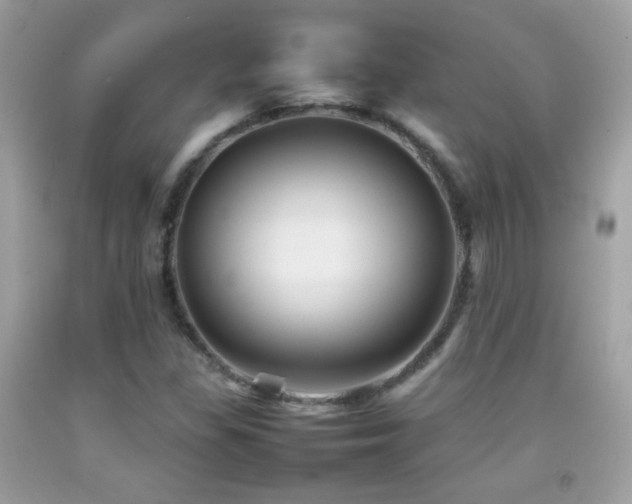 X0000092071309200709121408