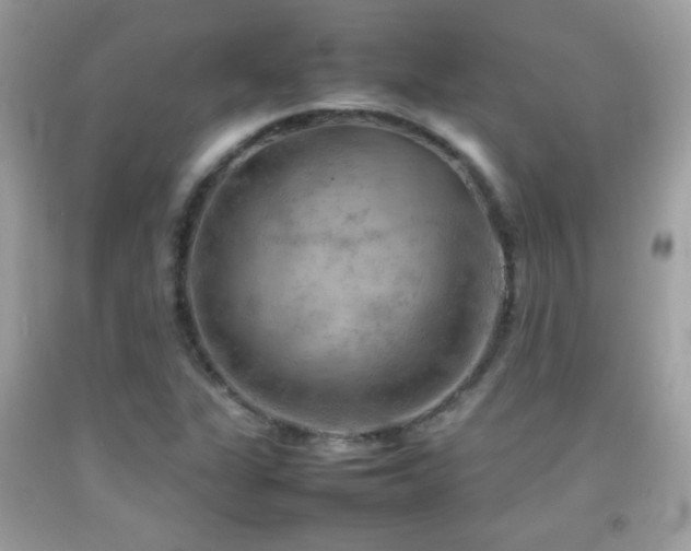 X0000092071311200709121408