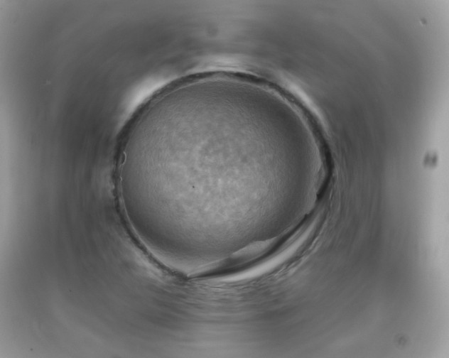 X0000092071312200709121408