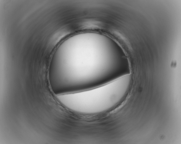 X0000092071313200709121408