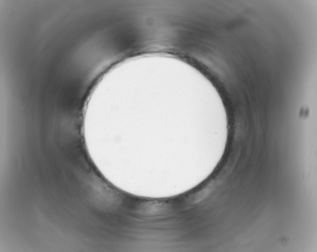 X0000092071314200709121408