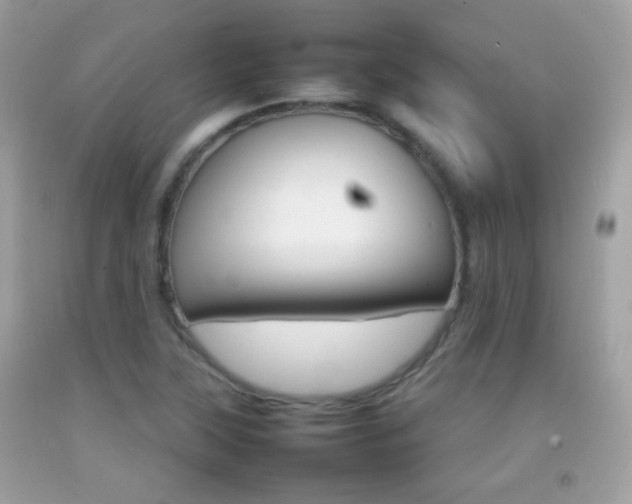 X0000092071315200709121408