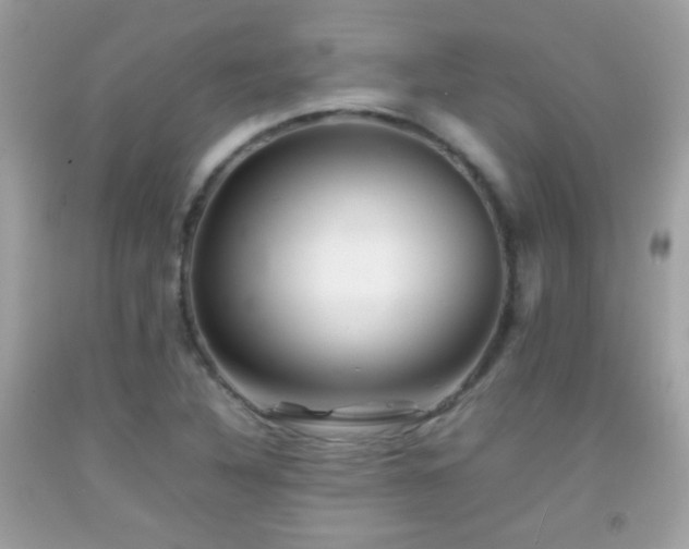 X0000092071316200709121408