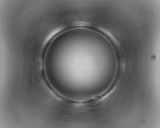 X0000092071317200709121408