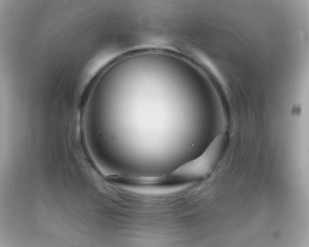 X0000092071320200709121408