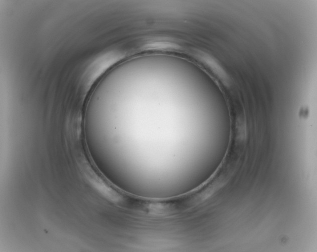 X0000092071322200709121408