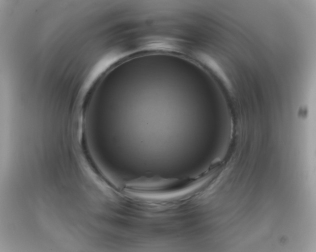 X0000092071323200709121408