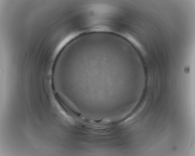 X0000092071325200709121408