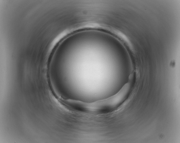 X0000092071326200709121408