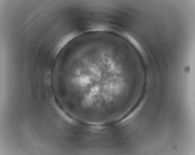 X0000092071329200709121408