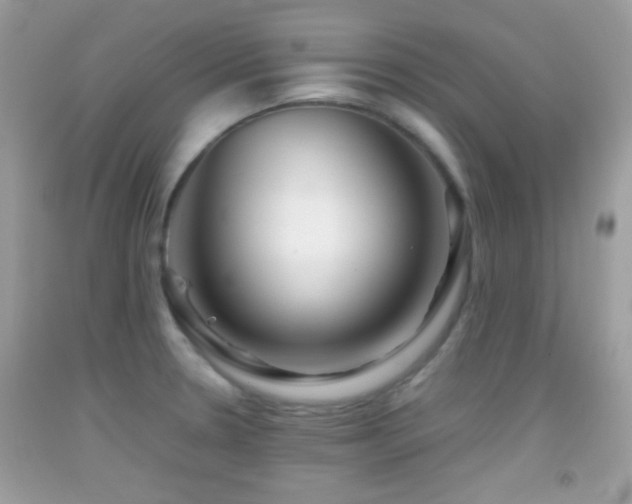 X0000092071330200709121408