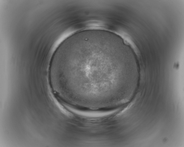 X0000092071333200709121408