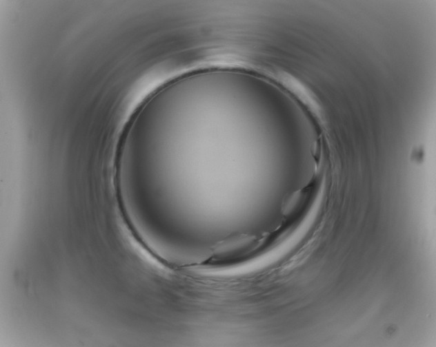 X0000092071334200709121408