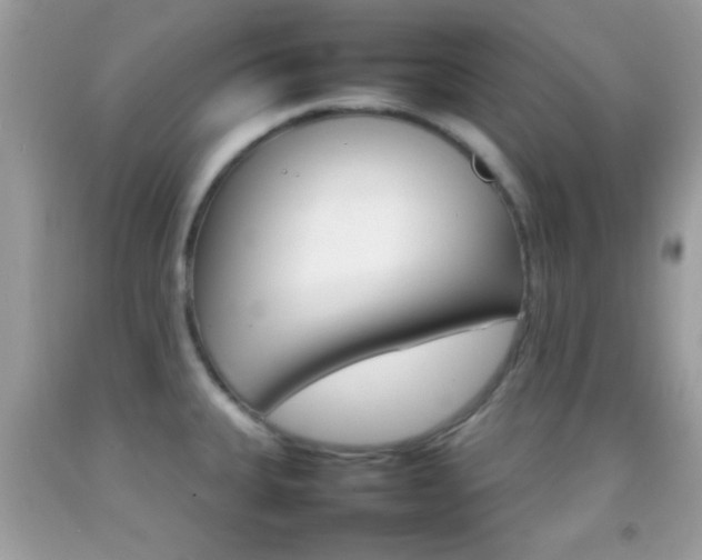 X0000092071335200709121408