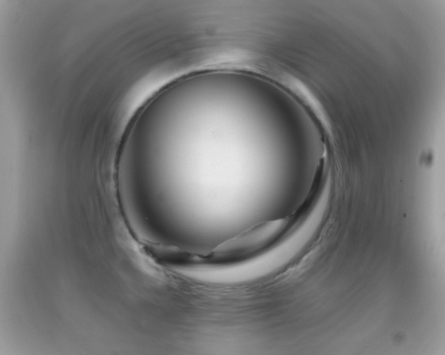 X0000092071336200709121408