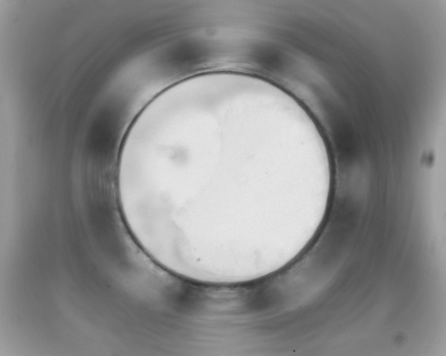 X0000092071338200709121408