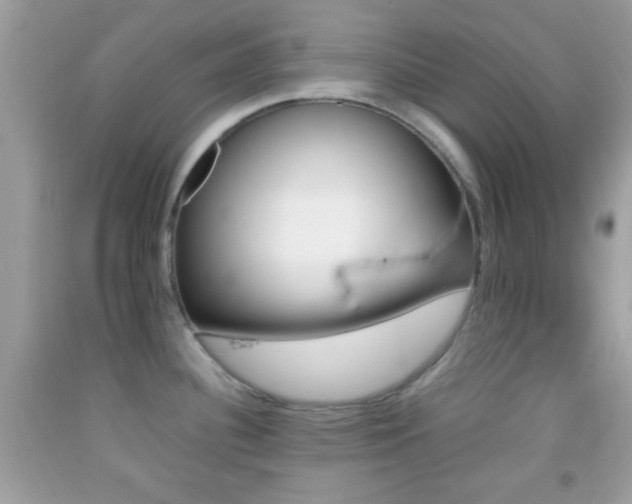 X0000092071340200709121408