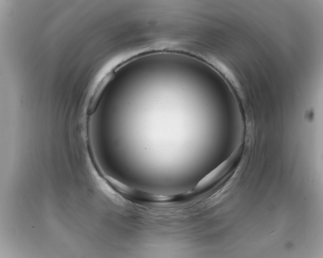 X0000092071342200709121408