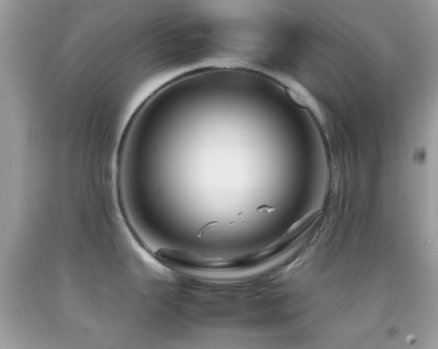 X0000092071343200709121408