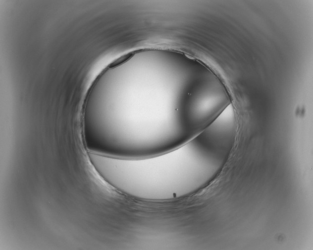 X0000092071344200709121408
