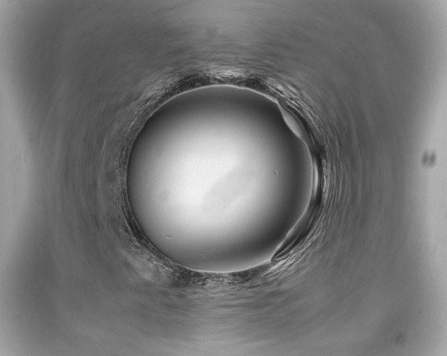 X0000092071345200709121407