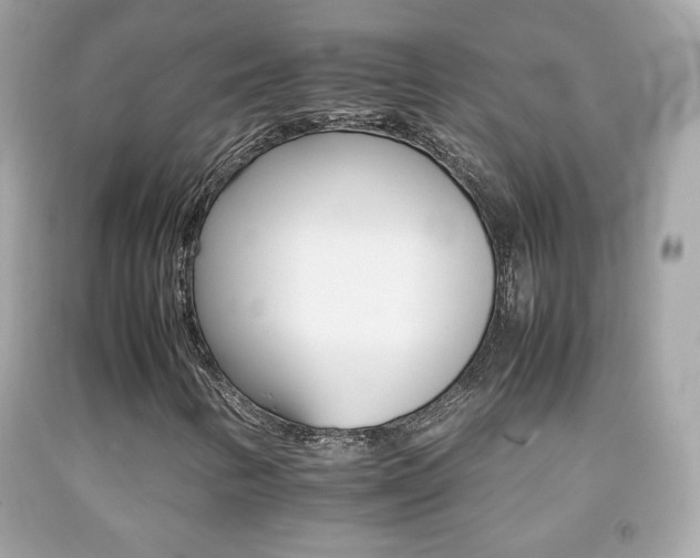 X0000092071346200709121407