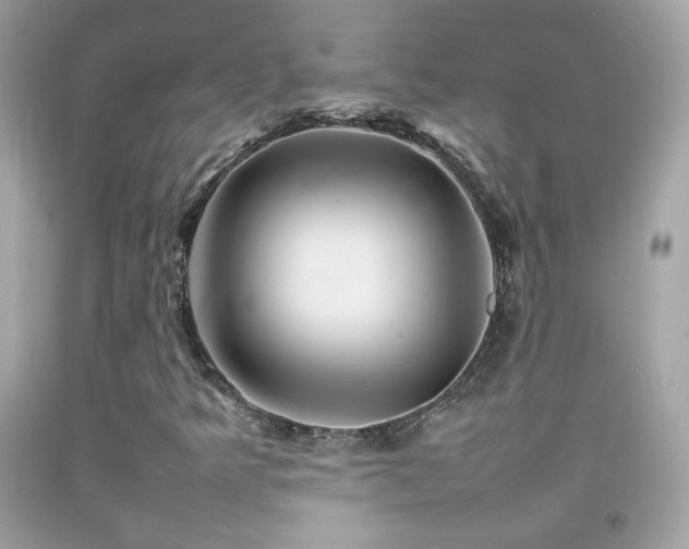 X0000092071349200709121407
